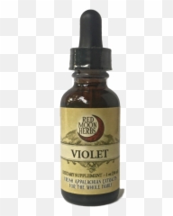Violet Viola Spp - Medicinal Elixirs Png,Herbs Png