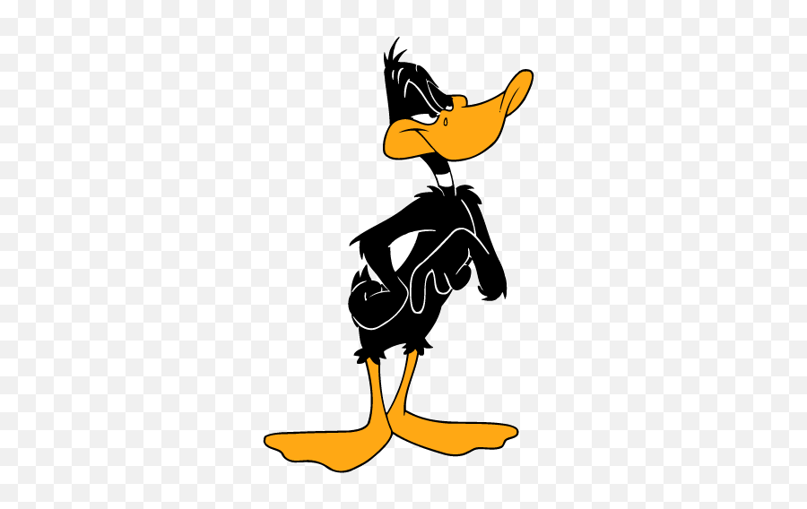 Daffy Duck Pictures Images - Page 4 Png,Daffy Duck Icon