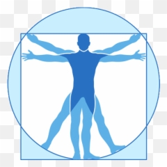 Sports Coachingthe Concept U2013 Etape3 English - Men Sana In Corpore Sano Design png