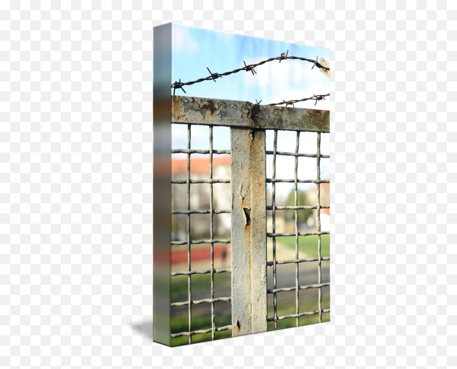 Barbwire - Barbed Wire Png,Barbwire Png