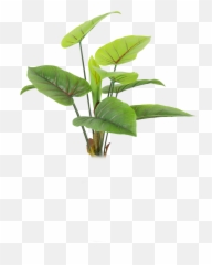 Png Format Images Nature Transparent - Photoshop Plants