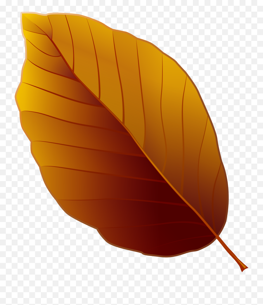 Autumn Leaf Png Clipart Image High - Brown Leaf Clip Art Png Brown Leaf Png Clipart,Autumn Leaf Png