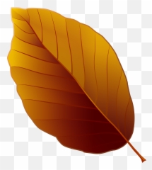 Autumn Leaf Png Clipart Image High - Brown Art