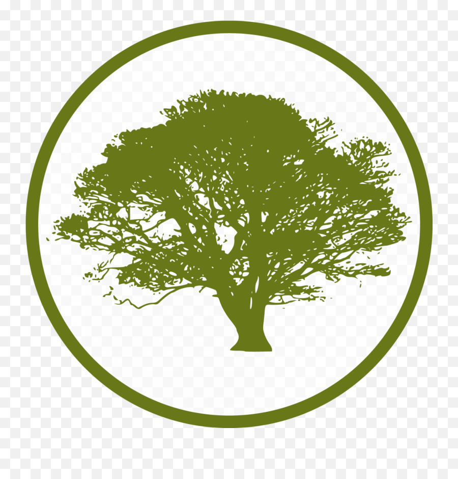 Cropped Png Tree Icon