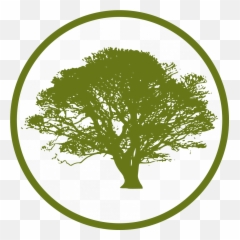 Cropped Png Tree Icon