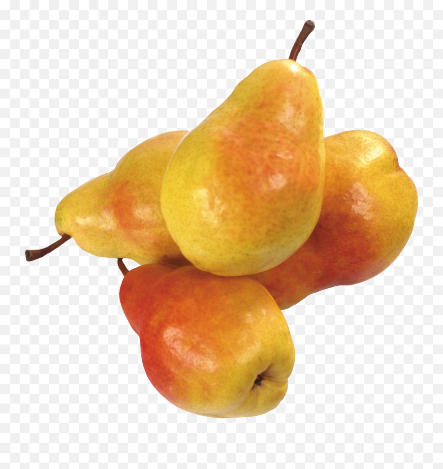 Download Pear Png Image For Free