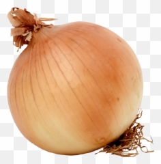 Onionfoodwinter Squash Png Clipart - Royalty Free Svg Png Clipart Of A Onion,Squash Png