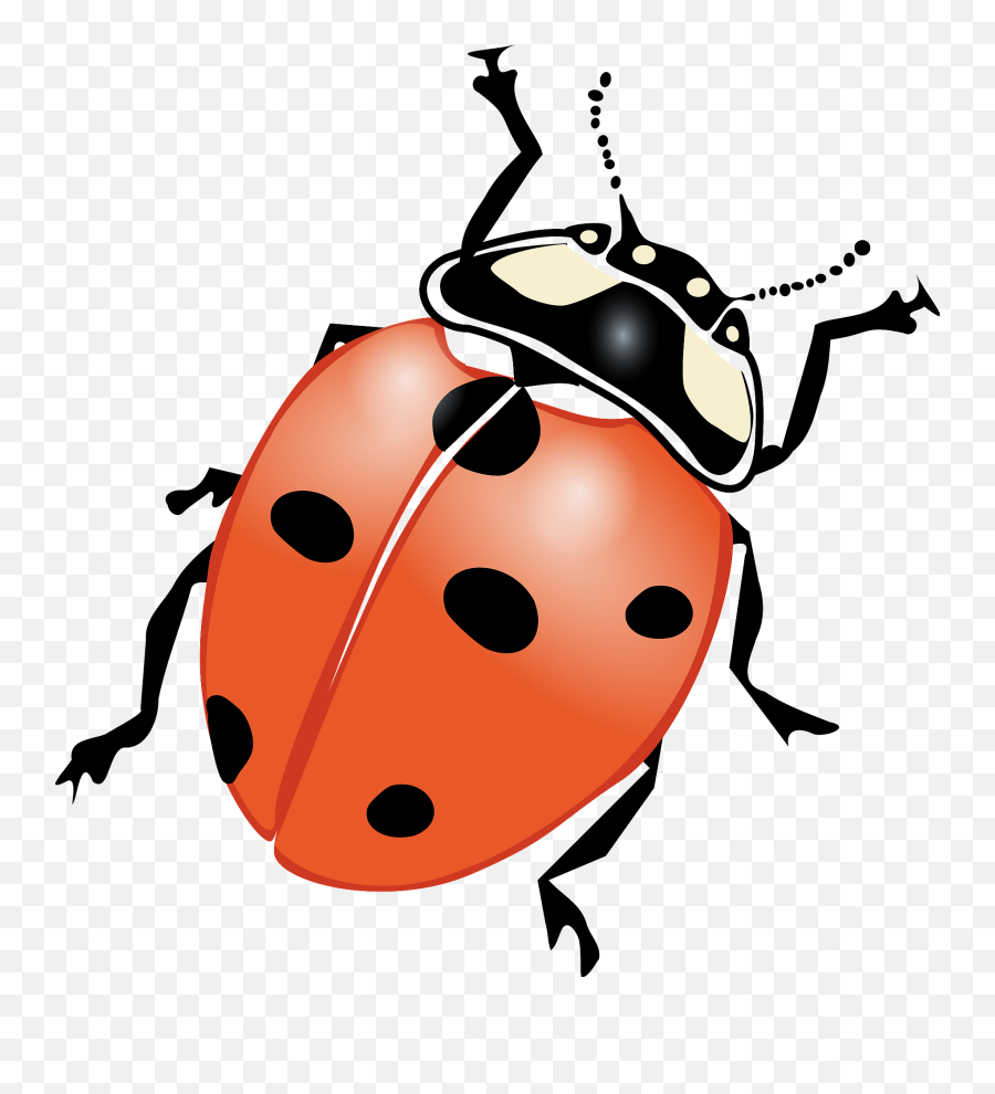 Download Ladybug Png For Designing Projects - Free Ladybird Black And White,Ladybug Png