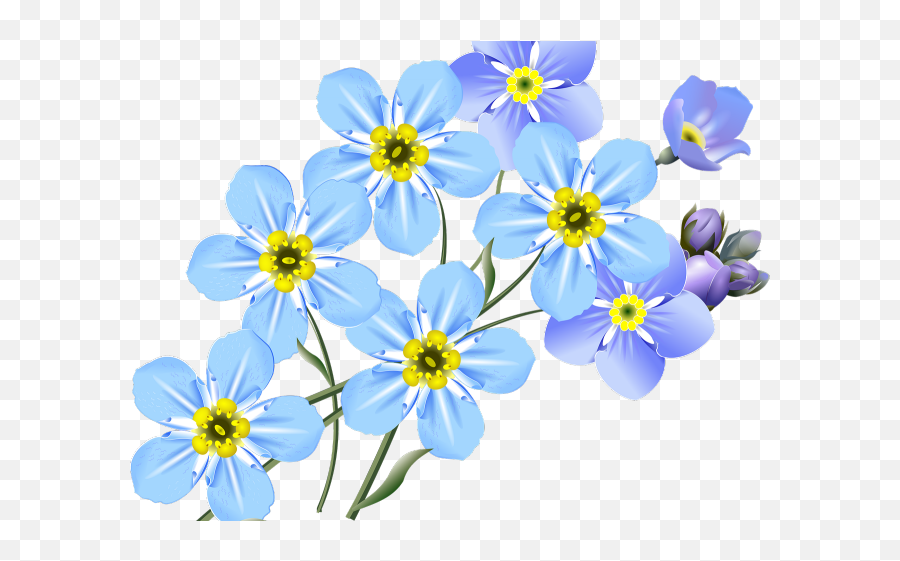 Forget Me Nots Clipart - Flower Forget Me Not Drawing Png,Forget Me Not Png