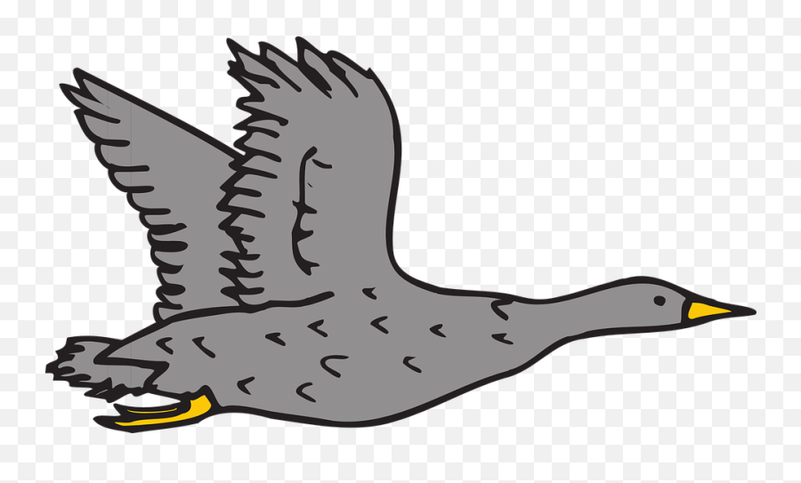 Download Goose Clipart Grey - Grey Goose Clip Art Png,Grey Goose Png