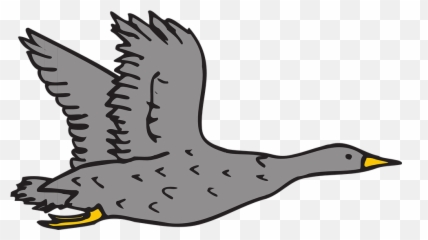 Download Goose Clipart Grey - Art png