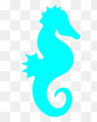 Seahorse Horse The Graphics Fairy - Silhouette png