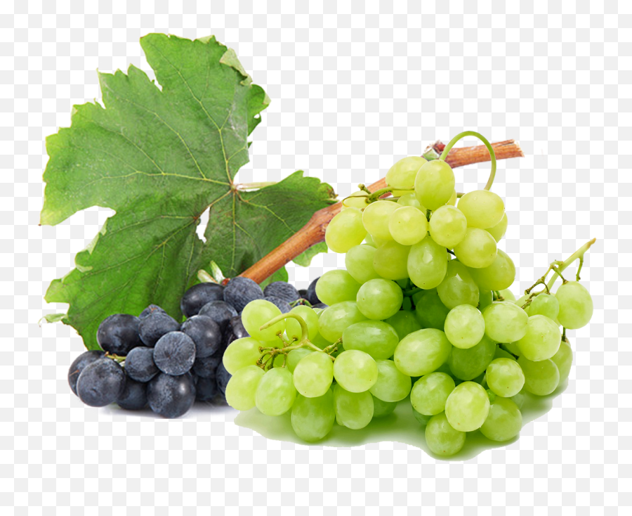 Download Grapes Free Png Image - Green And Black Grapes Png,Grape Png