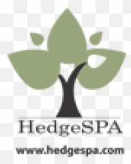 Hedgespa U2013 Sophisticated Predictive Analytics For Hedge - Hedgespa Logo Png,Hedge Png