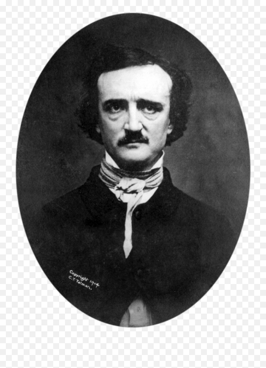 Essay - Writework Edgar Allan Poe Rabies Png,Black Cat Transparent Background