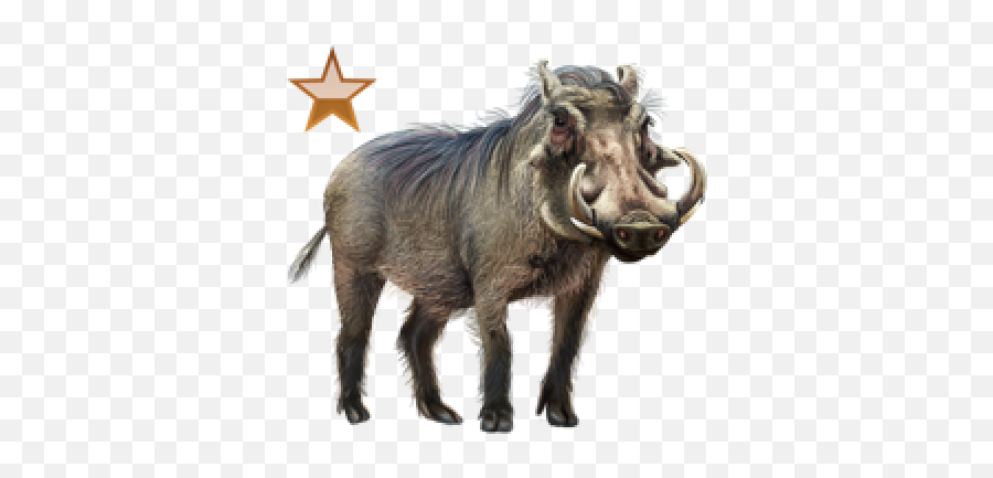 Download Free Png Warthog - Common Warthog,Warthog Png