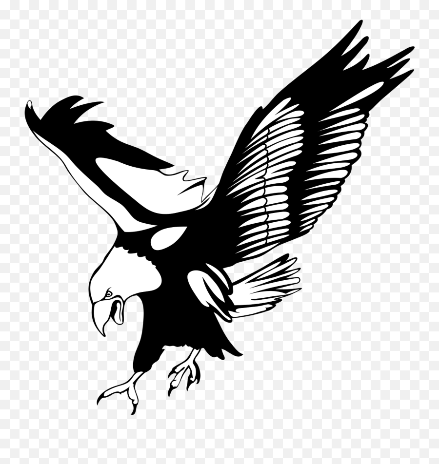 No Background Bird Eagle - Eagle Black And White Png,Fly Transparent Background