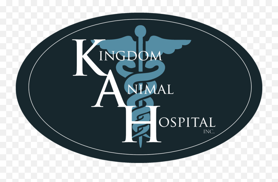 Discover - Cardlogo Kingdom Animal Hospital Federal Medical And Dental College Png,Discover Card Logo