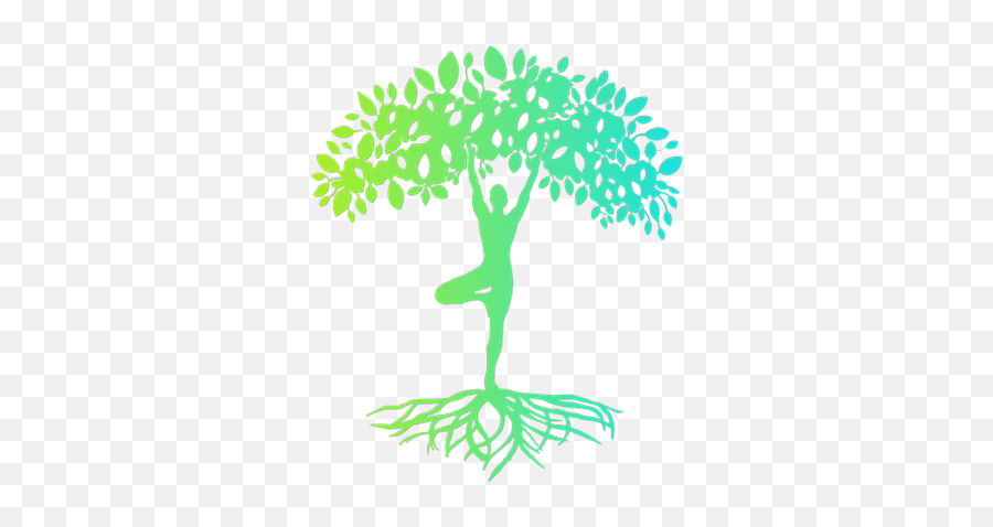 Yoga In Kenmore Qld - Tree Of Life Yoga Png,Tree Of Life Logo