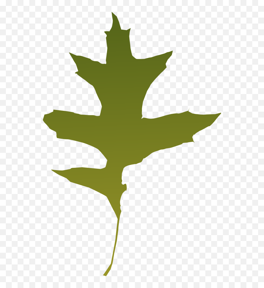 Leaf Png Svg Clip Art For Web - Download Clip Art Png Icon Oak Tree Dry Leaf Icon Png,Leaf Icon Png