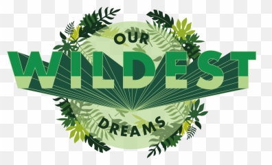 Founders - Illustration png