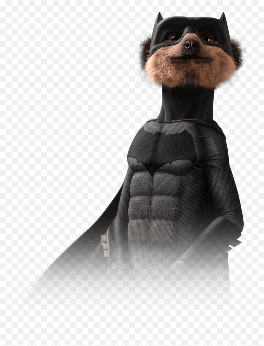 Download Aleks - Meerkat Batman Png,Meerkat Png