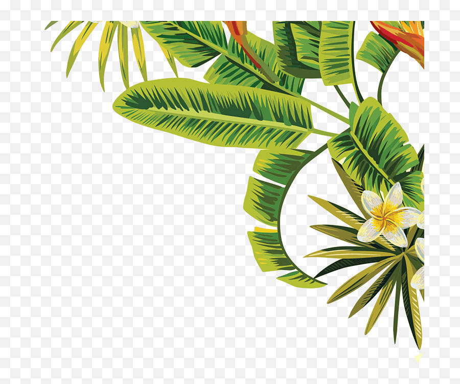 Transparent Tropical Leaves Png - Tropical Leaves Leaves Png,Palm Tree Leaves Png