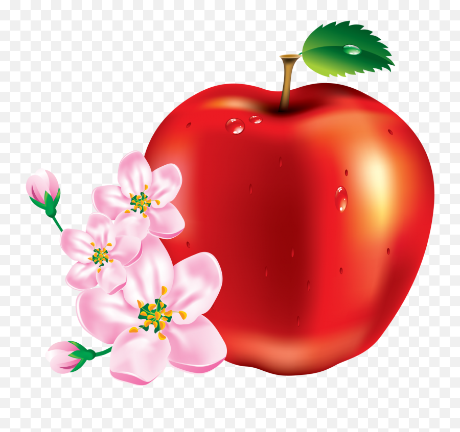 Red Apple Png Image - Fruits Vector,Red Apple Png