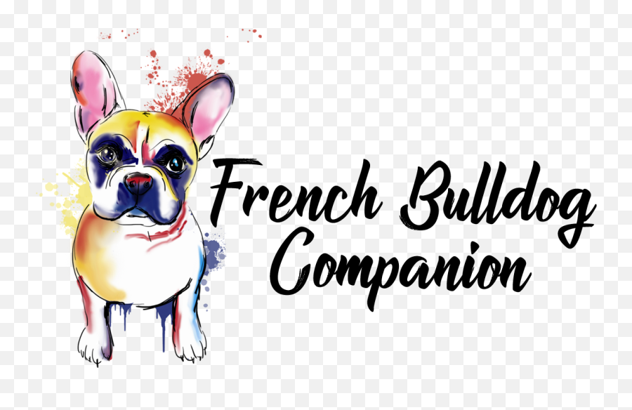 Home French Bulldog Companion Ohio - Language Png,French Bulldog Png