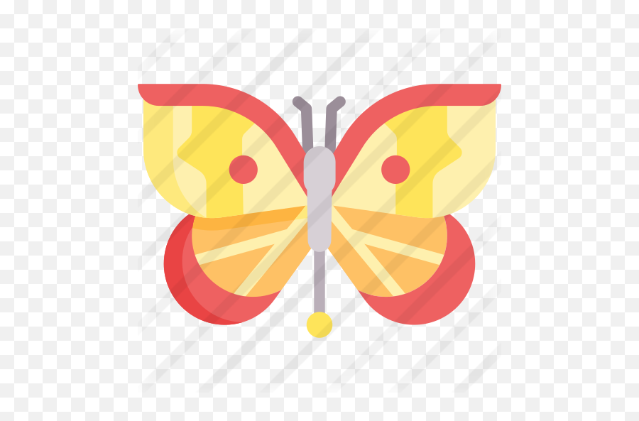 Butterfly - Girly Png,Star Butterfly Icon
