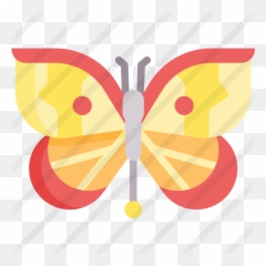 Butterfly - Girly Png,Star Butterfly Icon