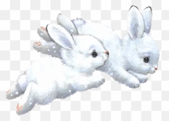 Pin By Rose - Domestic Rabbit Png,Aniami Teeth Icon