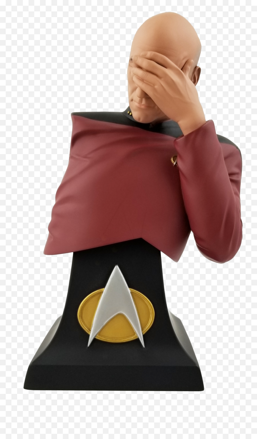 Captain Picard - Picard Facepalm Bust Png,Super Heroes Icon