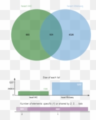 Biomarker Candidate Identification - Dot png