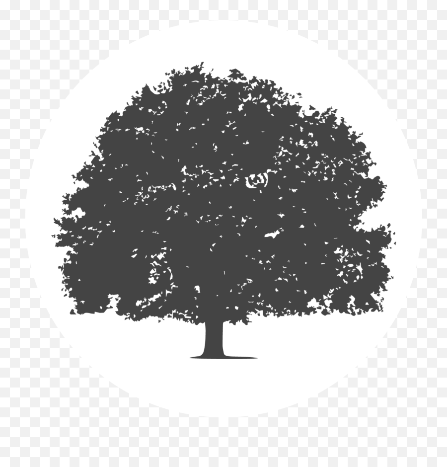 Tree - Whitecirclegrey City Of Duncanville Texas Usa Hard Wood Tree Png,Texas Silhouette Png