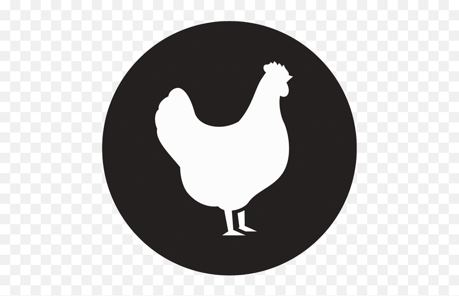 Meat Wholesaler Global And Dry Food Distributor - Alpi Beef Chicken Pork Fish Icon Png,Chicken Icon
