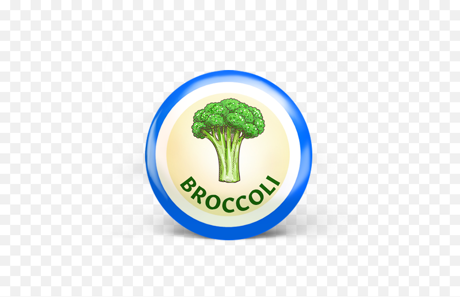 February 2022 Newsletter - Curiosity Untamed Broccolini Png,Icon Anthem 2