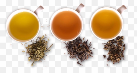 Gong Cha Usa Premium Quality Bubble Tea - Tea Quality Png,Bubble Tea Png