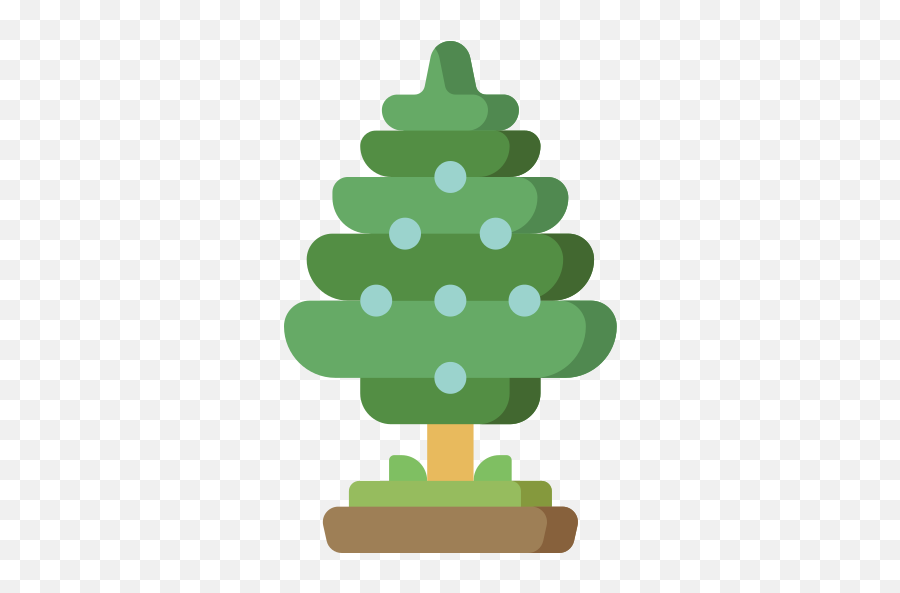 Juniper - Christmas Tree Png,Juniper Png