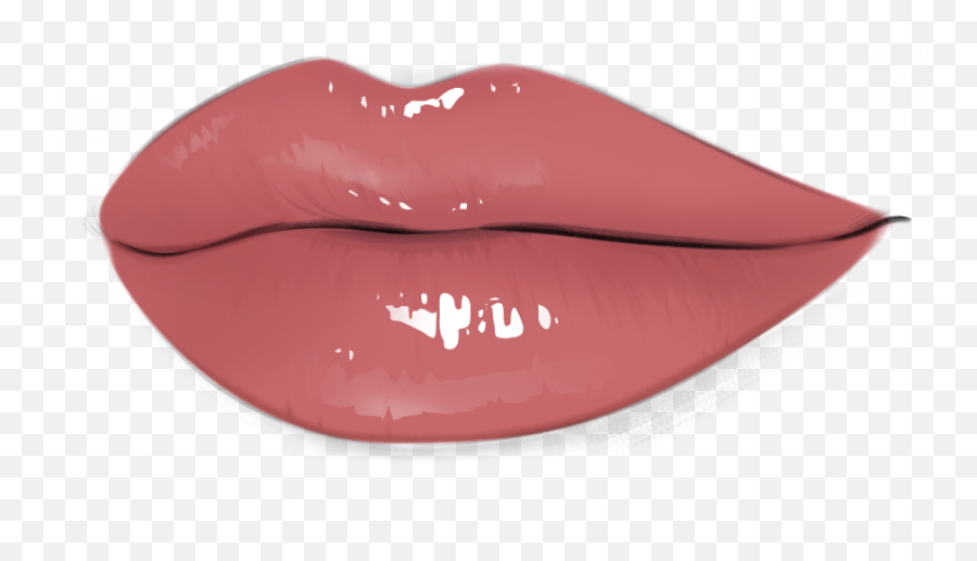 Kylie Jenner Line Face Chart - Lip Gloss Png,Kylie Jenner Transparent