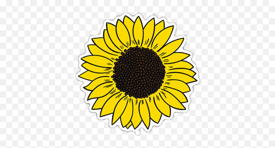 Sun Clipart Images Png Tumblr 50 Photos - Sunflower Png,Watercolor Sunflower Png