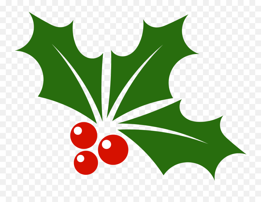 Bdr Group Holly - Holly Leaf Png,Holly Png