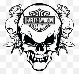 4368 Best Harley Davidson Images - Skull Logo Png