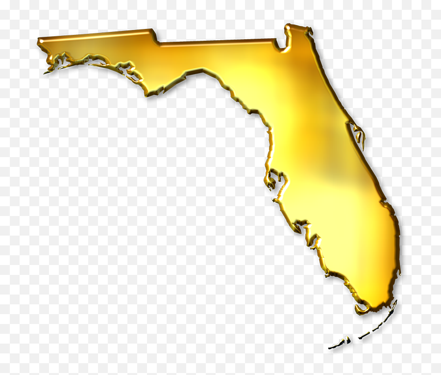 Florida Abstract Style Maps 11 Gold Metallic - Gold Florida Png,Gold Transparent Background