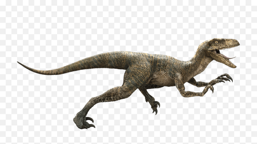 Raptor Dinosaur Png - Jurassic World Velociraptor Clipart Raptor Dinosaur Png,Dinosaur Png