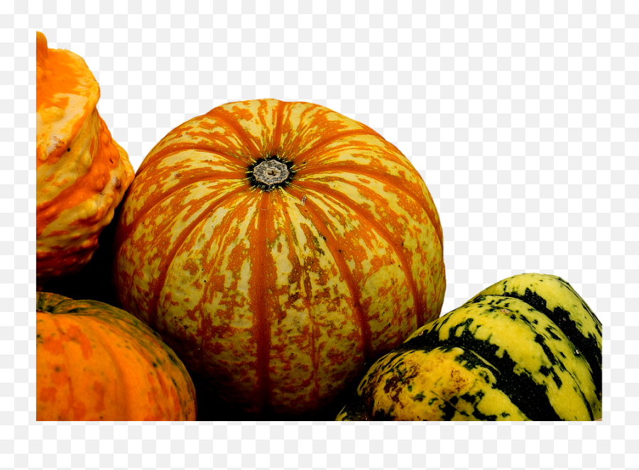 Pumpkins Decorative Squashes - Free Photo On Pixabay Pumpkin Png,Squash Png