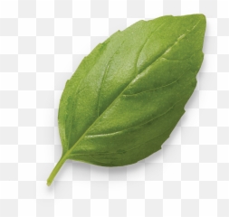 Basil Pesto Turkey Bonduelle - Nannyberry Png,Basil Png