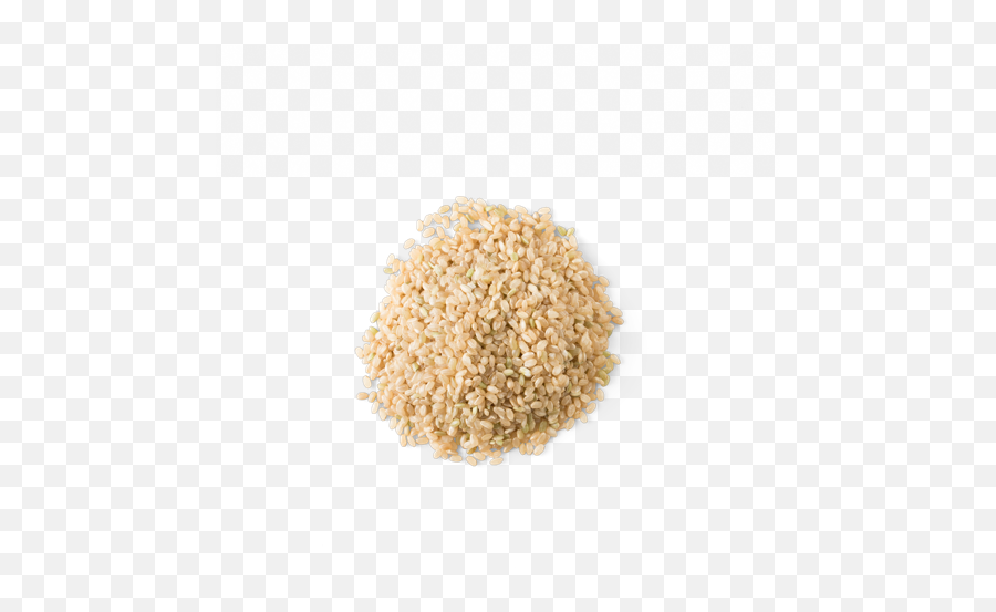 Chipotle - Brown Rice Chipotle Brown Rice Png,Rice Transparent