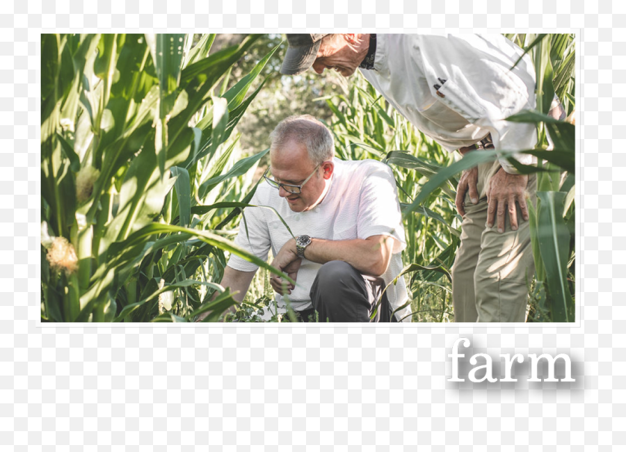 Prescott Historic Ranch With Cooking Classes Terra Farmmanor - Cash Crop Png,Farm Png