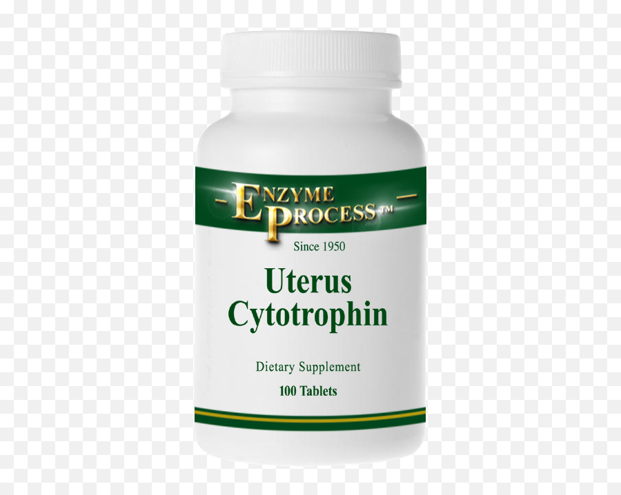 Uterus Cytotrophin - Thyroid Cytotrophin Png,Uterus Png